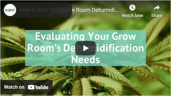 Evaluating your grow room